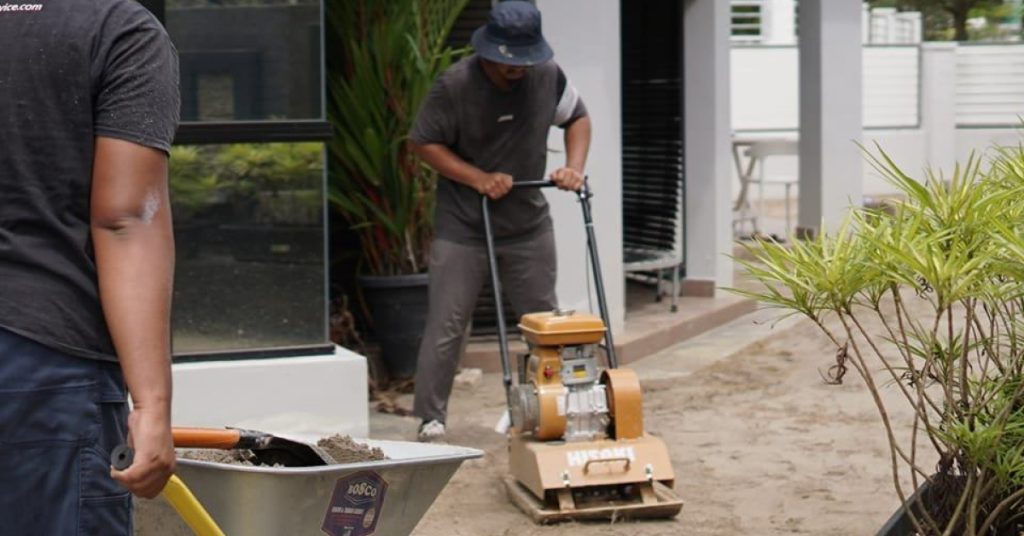 cara tanam rumput karpet