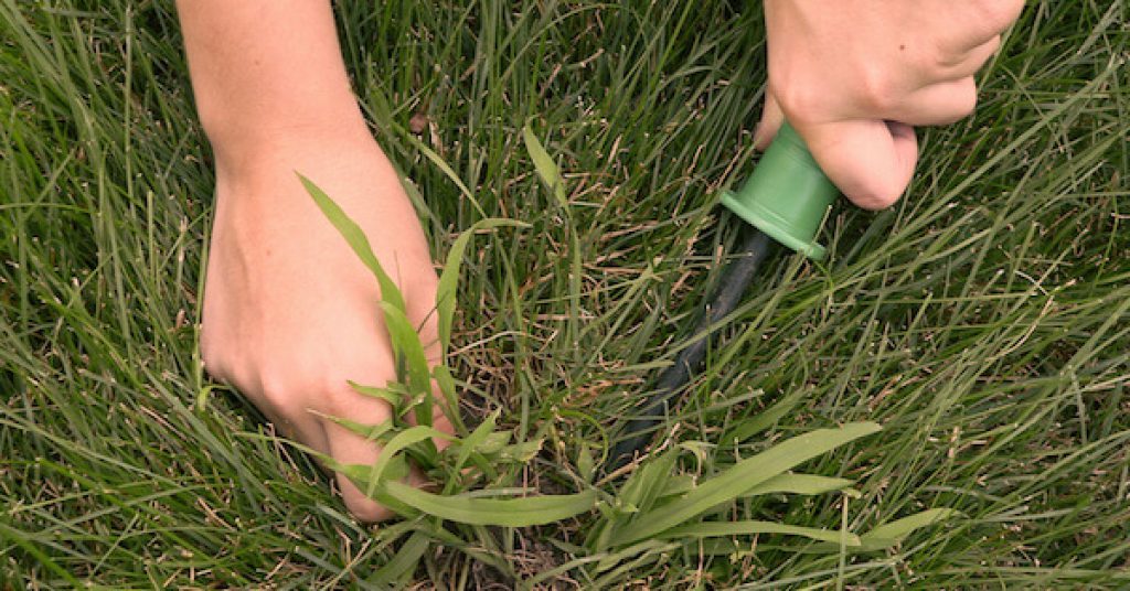 hukum cabut rumput atas kubur