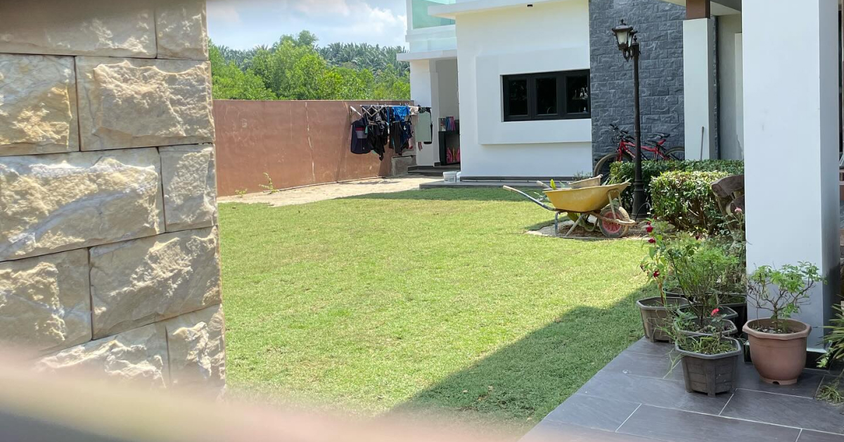Rumput Karpet Malaysia