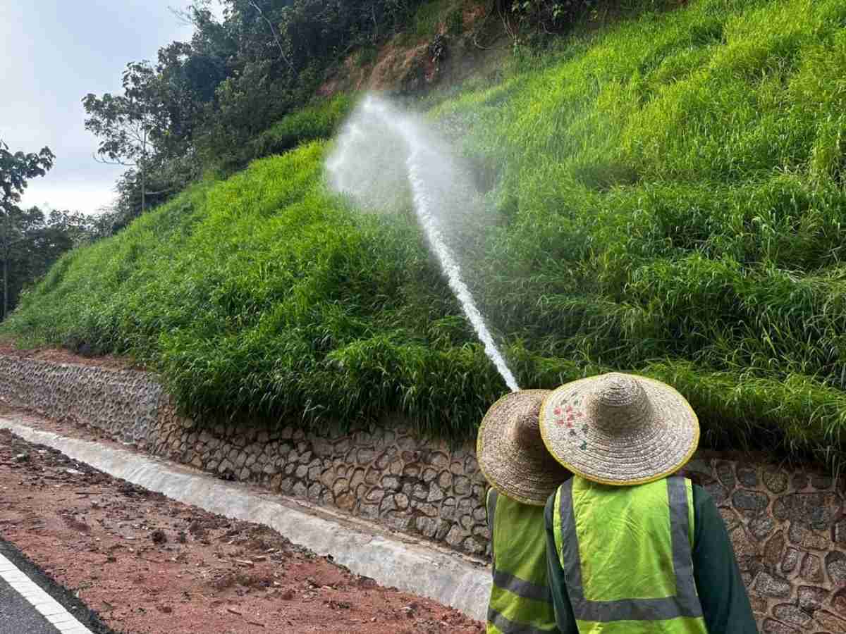 Hydroseeding – Cost, Benefits & Ultimate Guide (2026)