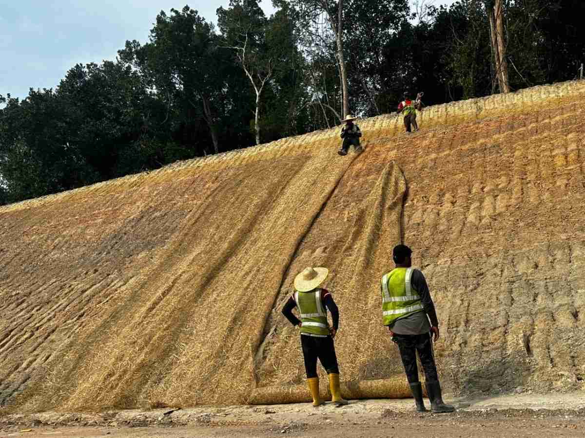 Semburan hydroseed di atas slope tanah