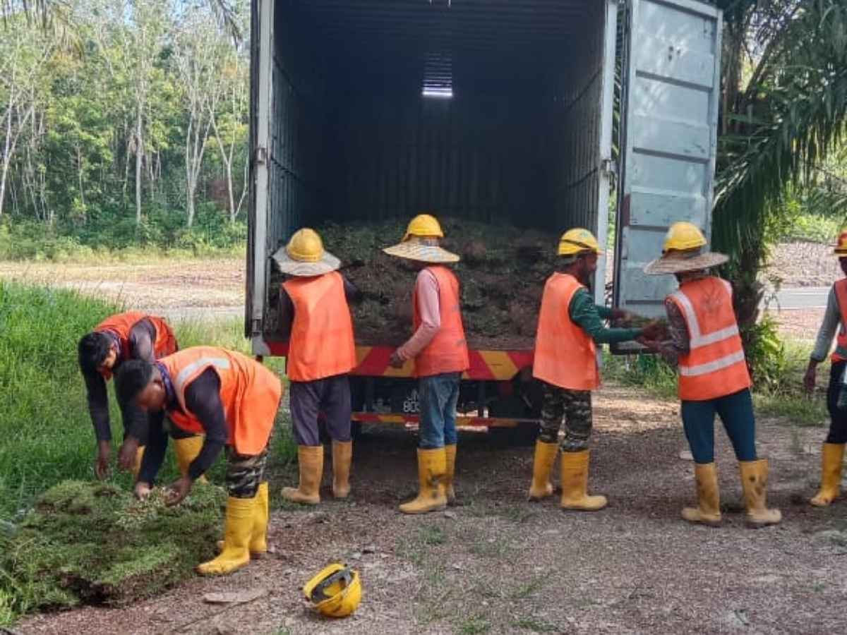 Kerja rumput di seksyen laluan ECRL