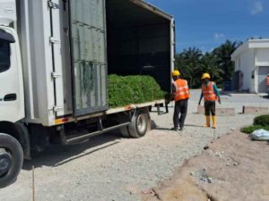 ECRL grass supply