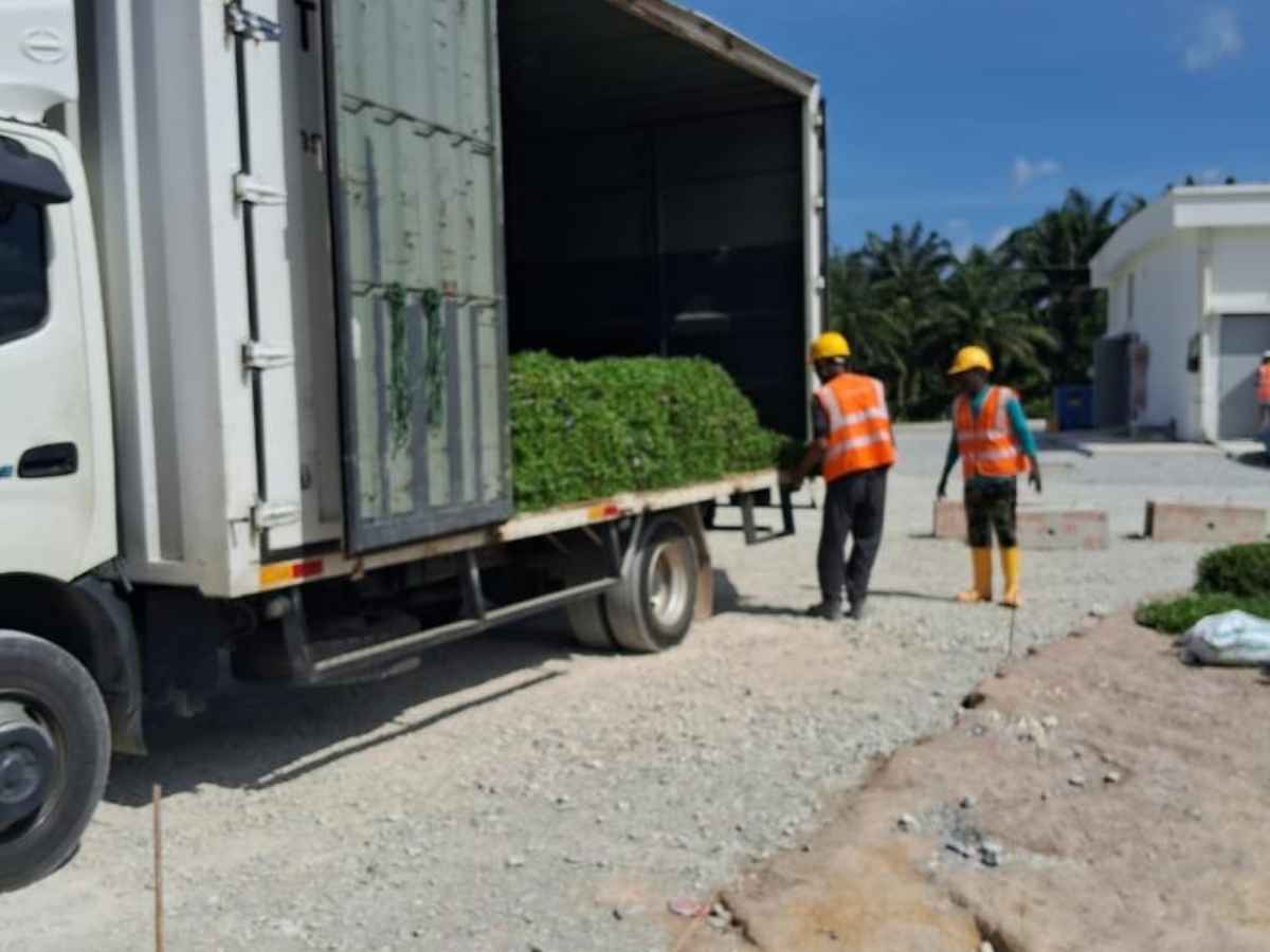 Cerun laluan ECRL selepas kerja penanaman rumput