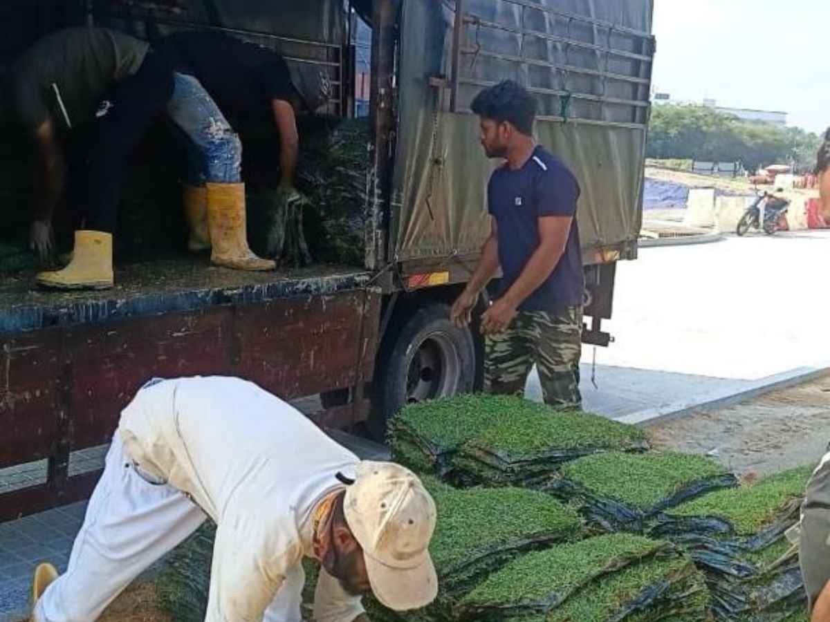 Penghantaran rumput terpilih ke tapak projek istana