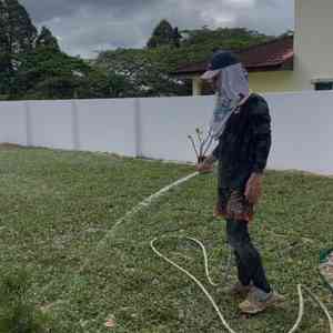 Langkah 6 cara tanam rumput - siram air secukupnya