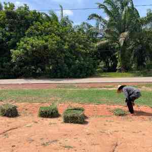 Langkah 3 cara tanam rumput - tambah setengah inci top soil dan pasir halus