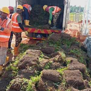 Grass Supplier Malaysia — large-scale turf delivery and installation by KebunRumput.my
