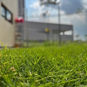 Japanese Grass turf supplied by KebunRumput.my