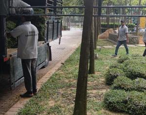 Ruang hijau highrise building Desa ParkCity selepas kerja rumput