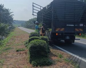 Kerja turfing curb Jalan Layang-Layang Johor untuk JKR - Ogos 2026
