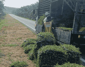 Projek JKR kerja turfing untuk curb Jalan Layang-Layang Johor - Ogos 2026