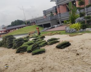 Kerja penanaman rumput di Istana Pasir Pelangi Johor