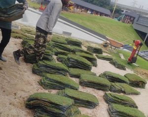 Perkarangan Istana Pasir Pelangi Johor selepas kerja rumput