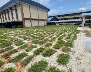Tapak padang sekolah semasa kerja rumput