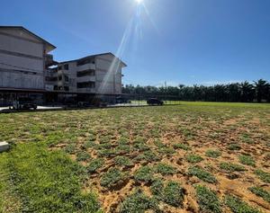 Padang sekolah selepas penanaman rumput cow grass