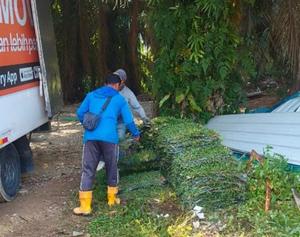 Bekalan dan kerja turfing padang SMK Paloh Hinai Pahang