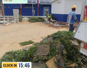 Projek rumput TNB PMU Bersia Kenering Perak